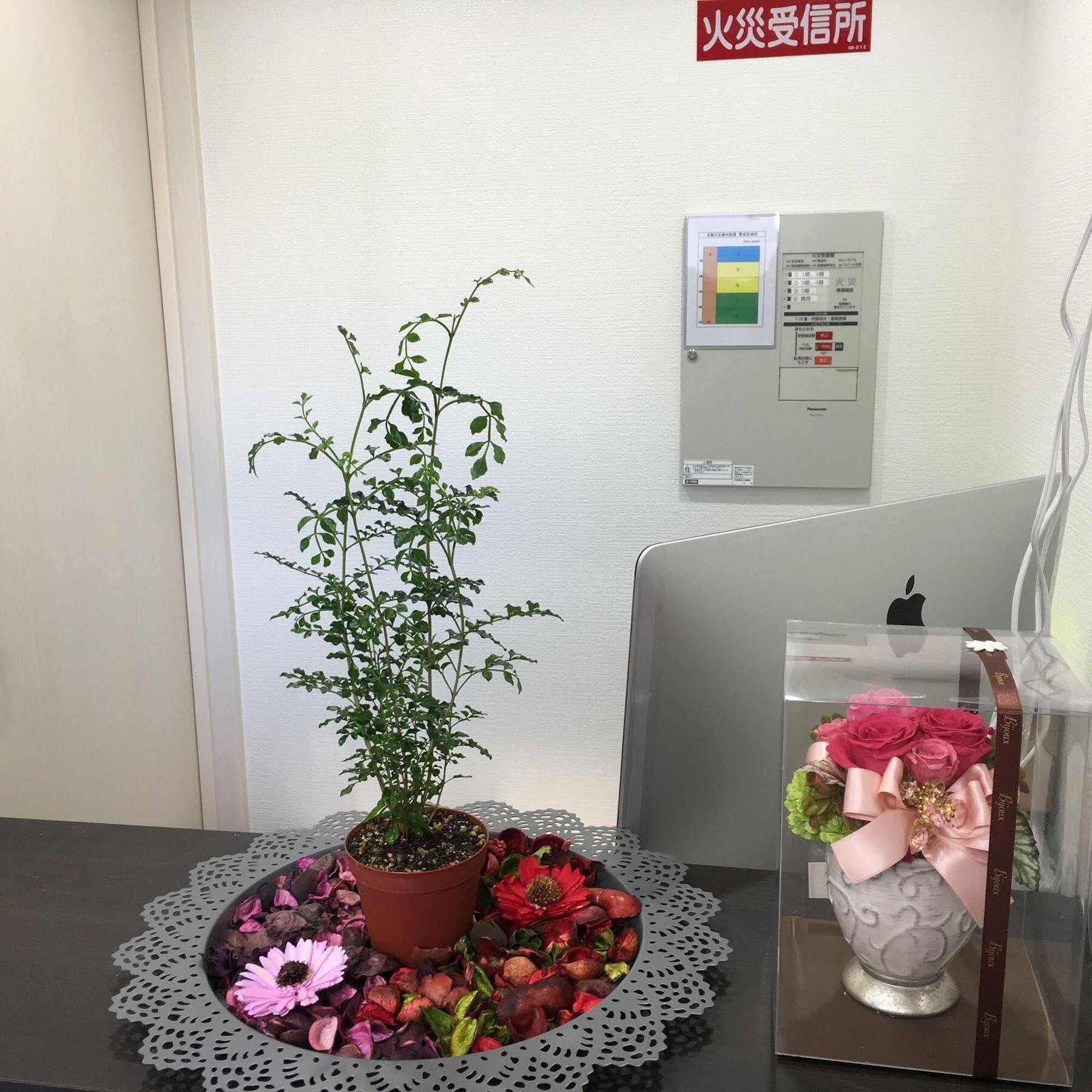 Coco Hostel Namba Oszaka Kültér fotó
